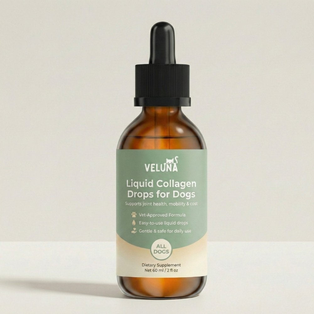 Veluna Prémium Folyékony Kollagén Kutyáknak