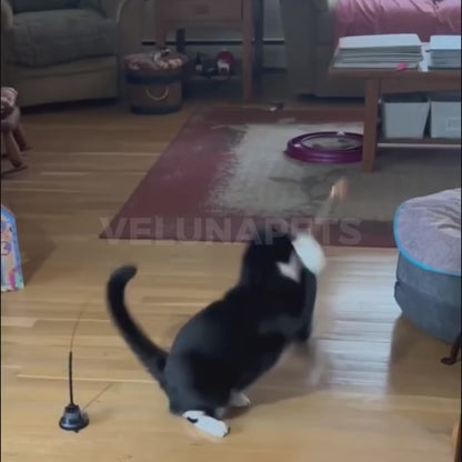 Interaktív macskajáték tollakkal, függesztve és ruganyos mozgással