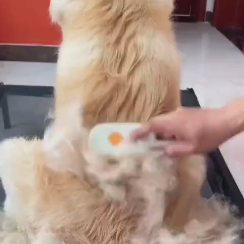 Veluna Steam Brush kutyáknak