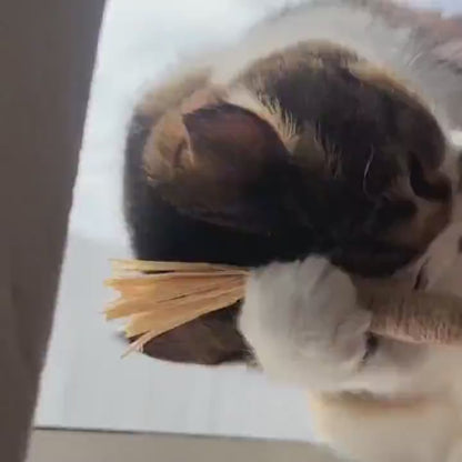 Veluna DentaSticks (5-ös csomag)